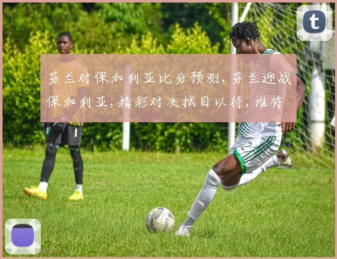 芬兰对保加利亚比分预测,芬兰迎战保加利亚,精彩对决拭目以待,谁将胜出